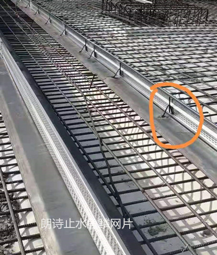 朗詩止水網(wǎng)片_副本.jpg